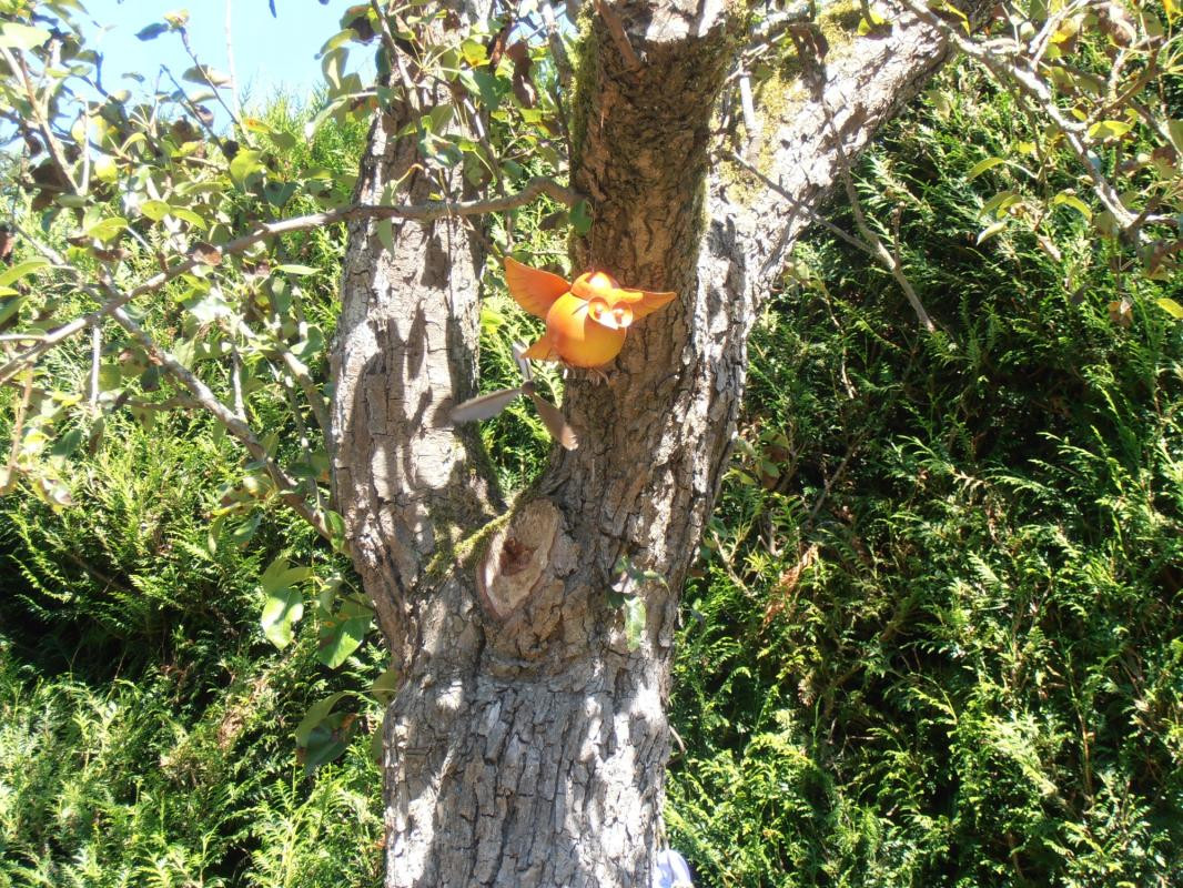 photo 27