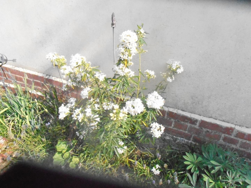 photo 34